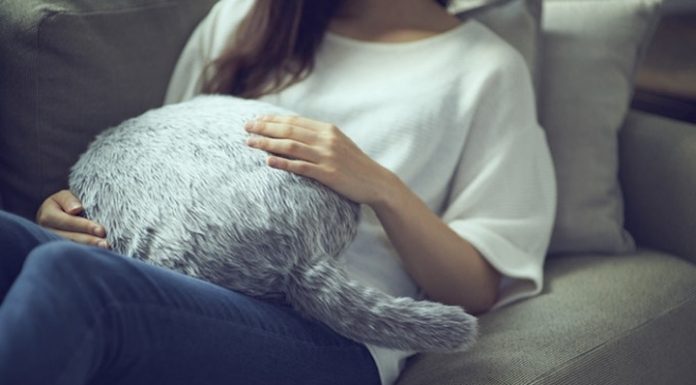 Qoobo: Das etwas andere Kissen mit interaktivem Schwanz